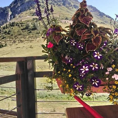 Studio Sur Les Pistes Bagnères-de-Bigorre Dış mekan fotoğraf