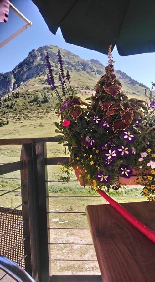 Studio Sur Les Pistes Bagnères-de-Bigorre Dış mekan fotoğraf